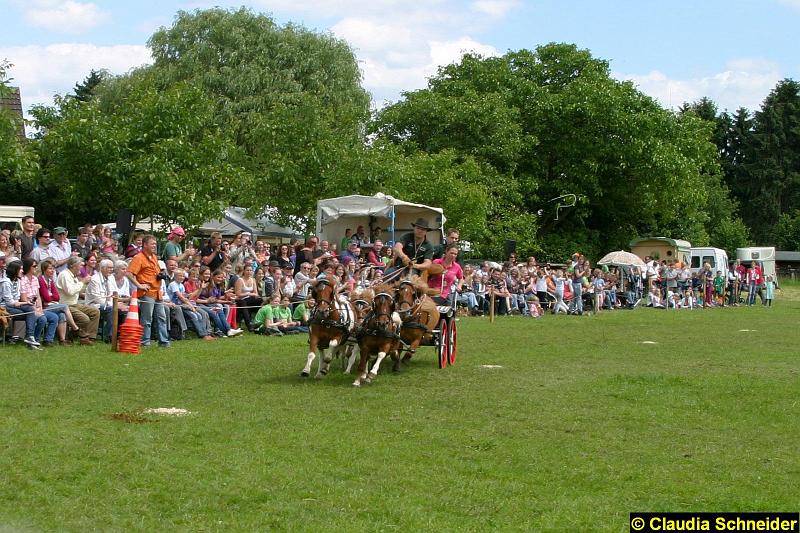 Ponytag Bosbach 2012-064.jpg